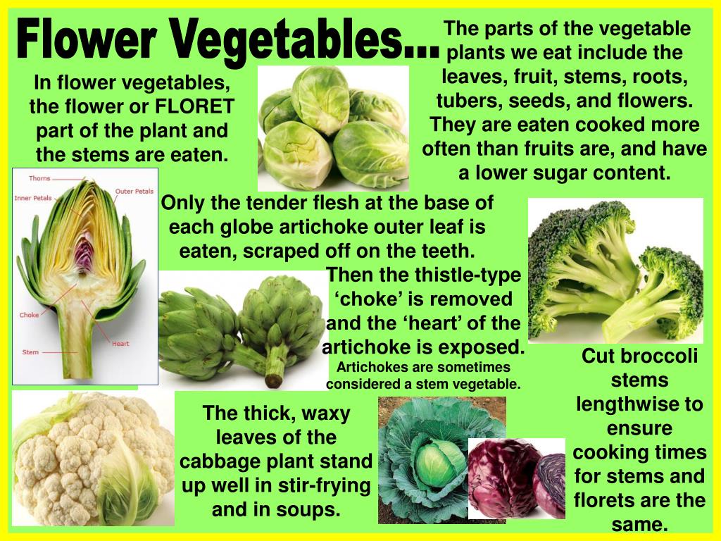 You like vegetables and fruits. The Plants Parts we eat. Parts of a Plant. Eat Plants and leaves. Types of Vegetables.
