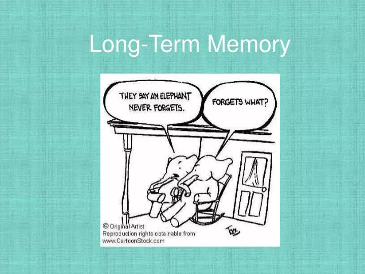 long term memory n.