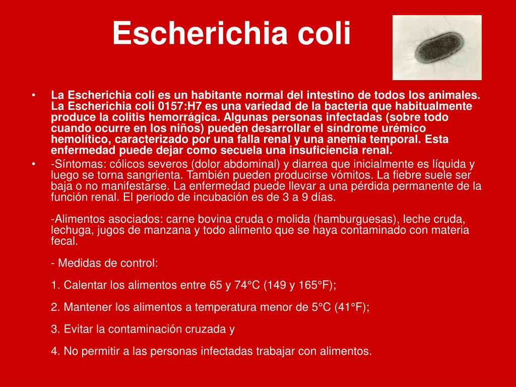 Escherichia coli что это у мужчин. Эшерихии. Escherichia прочитать. Эшерихия у детей клиника.