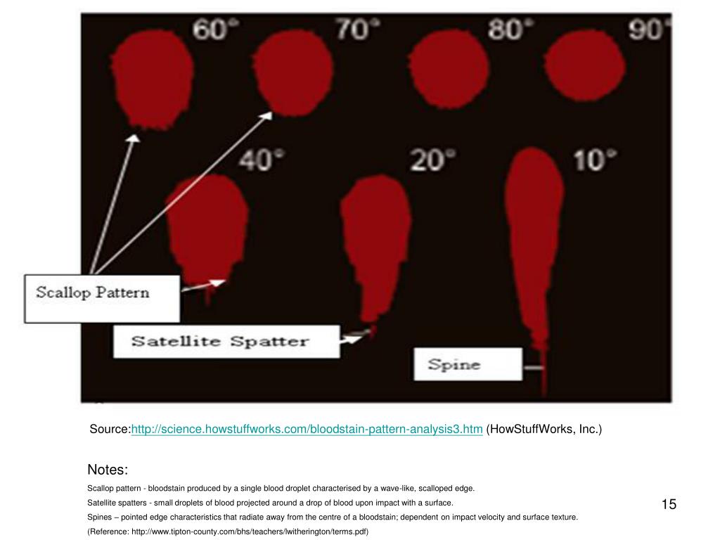 PPT - Lesson 6 Blood Spatter Analysis PowerPoint Presentation, free