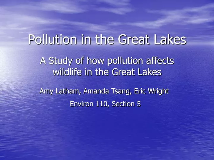 pollution in the great lakes n.