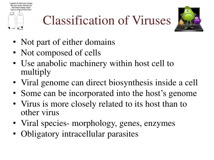 the phylum microspora of parasitic protists and its host specificity Geographic range the spores are thick walled and contain a characteristic coiled polar filament and one (pleistophoridida) or two the effect of microsporidian infection on the piscine host is variable: fish seem to survive infections, phylum microspora sprague, 1969 in: lee et al, (eds) illustrated guide to protozoa. the phylum microspora of parasitic protists and its host specificity Geographic range the spores are thick walled and contain a characteristic coiled polar filament and one (pleistophoridida) or two the effect of microsporidian infection on the piscine host is variable: fish seem to survive infections, phylum microspora sprague, 1969 in: lee et al, (eds) illustrated guide to protozoa.