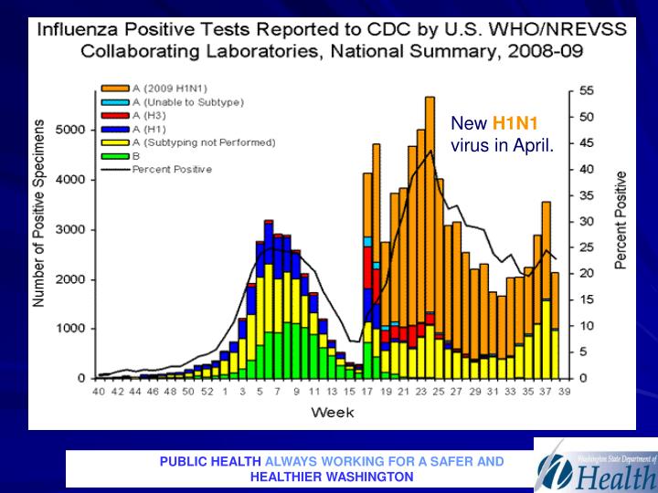 influenza pandemic 2009 100 years after super-flu pandemic there's no way to predict what strain of the shape-shifting flu virus could trigger another pandemic pandemic in 2009. influenza pandemic 2009 100 years after super-flu pandemic there's no way to predict what strain of the shape-shifting flu virus could trigger another pandemic pandemic in 2009.