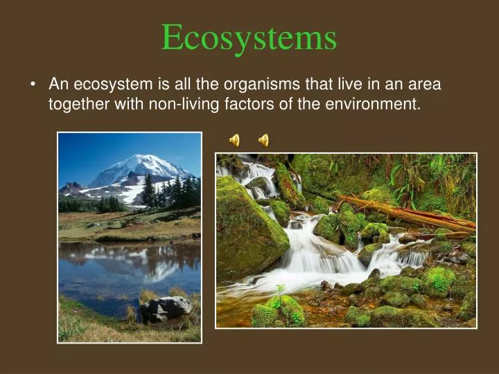 ecosystems n.