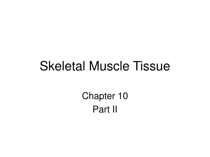 skeletal muscle tissue n.