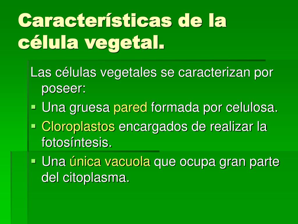 PPT - WWW.AREACIENCIAS.COM PowerPoint Presentation, Free Download - ID ...