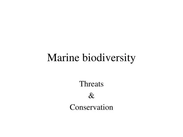 marine biodiversity n.