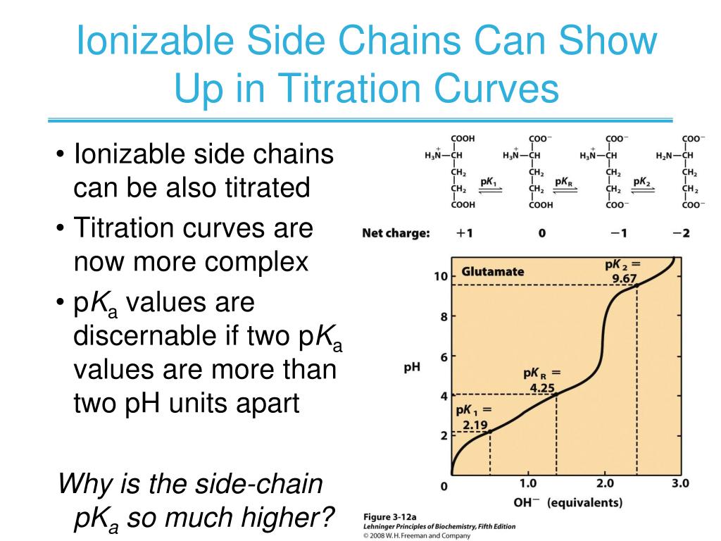 PPT CHAPTER 3 Amino Acids, Peptides, Proteins PowerPoint Presentation