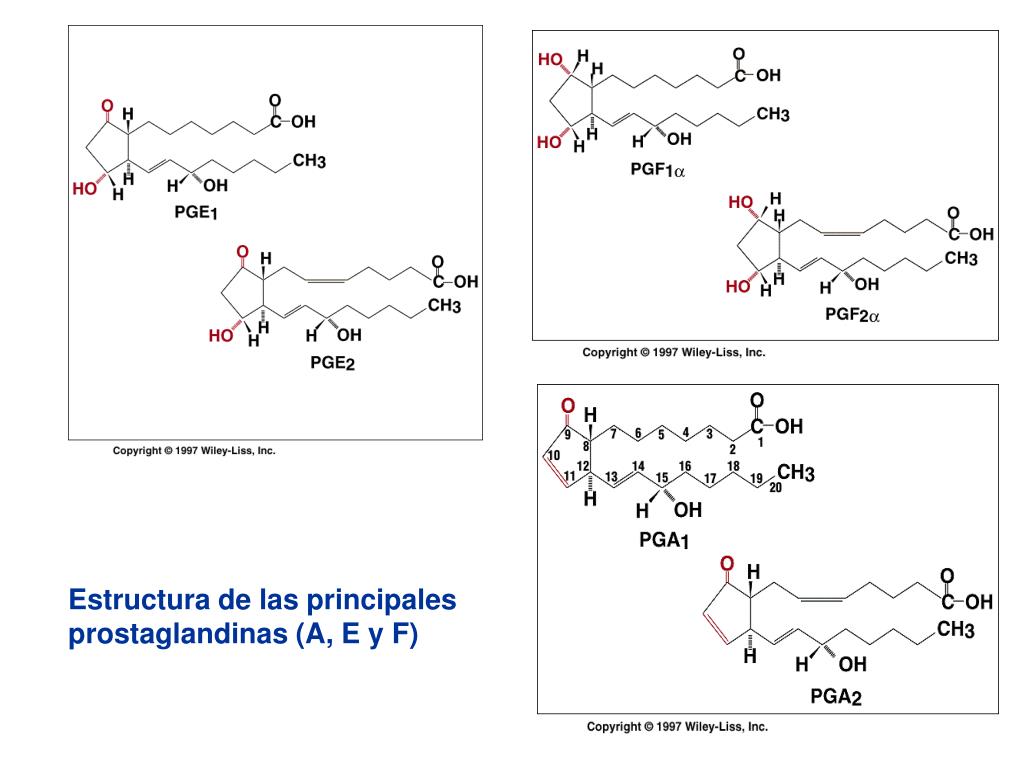 Aprender más sobre esquema general metabolismo