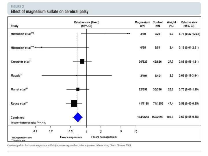PPT Magnesium Sulfate for Neuroprotection Friend or Foe? PowerPoint