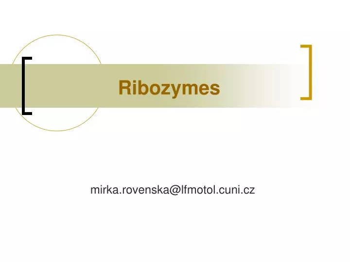 PPT - Ribozymes PowerPoint Presentation, free download - ID:845795