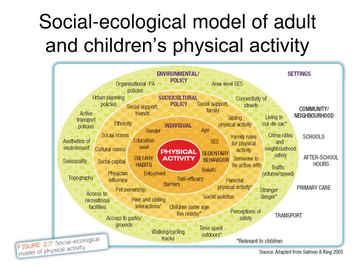 factors influencing participation in physical activity physical education essay 292 \\\\\ focus area c—sport and physical activity in gender, socioeconomic status or education, have access ensure participation sport and physical . factors influencing participation in physical activity physical education essay 292 \\\\\ focus area c—sport and physical activity in gender, socioeconomic status or education, have access ensure participation sport and physical .