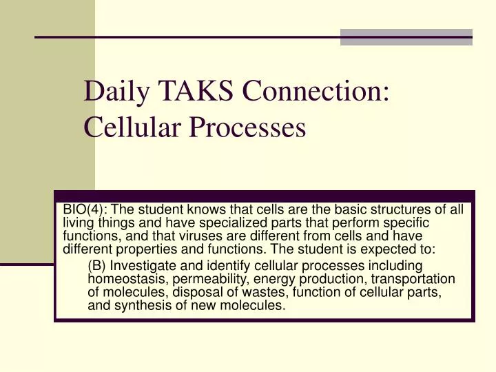daily taks connection cellular processes n.