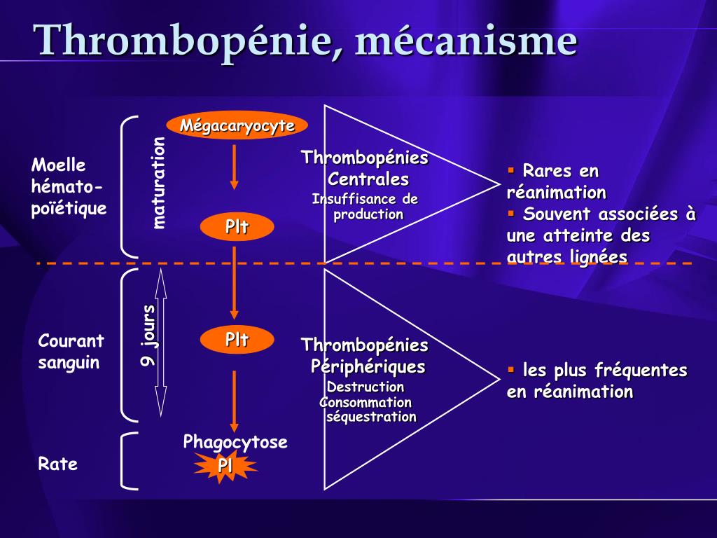 Quel est le délai de survenue de la thrombopénie
