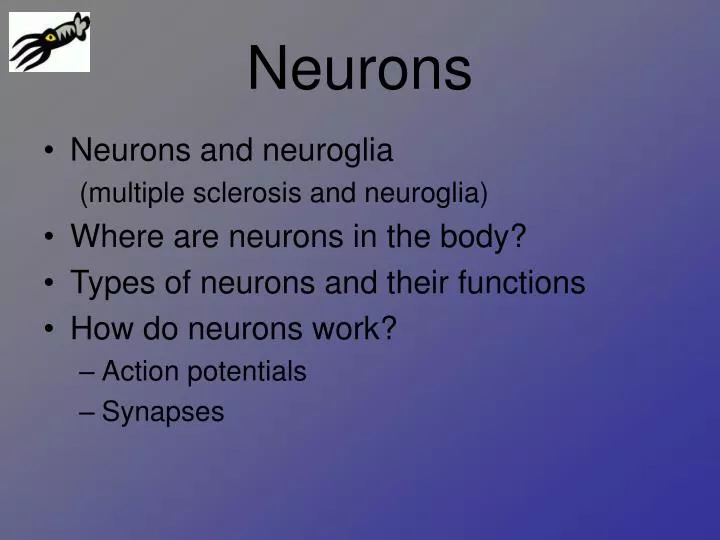 neurons n.