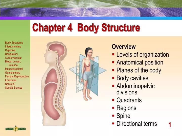 presentation body structure