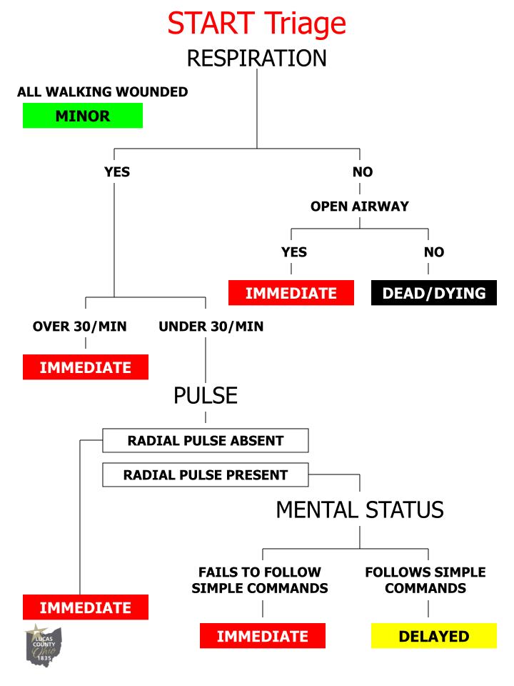 Start Triage Flowchart