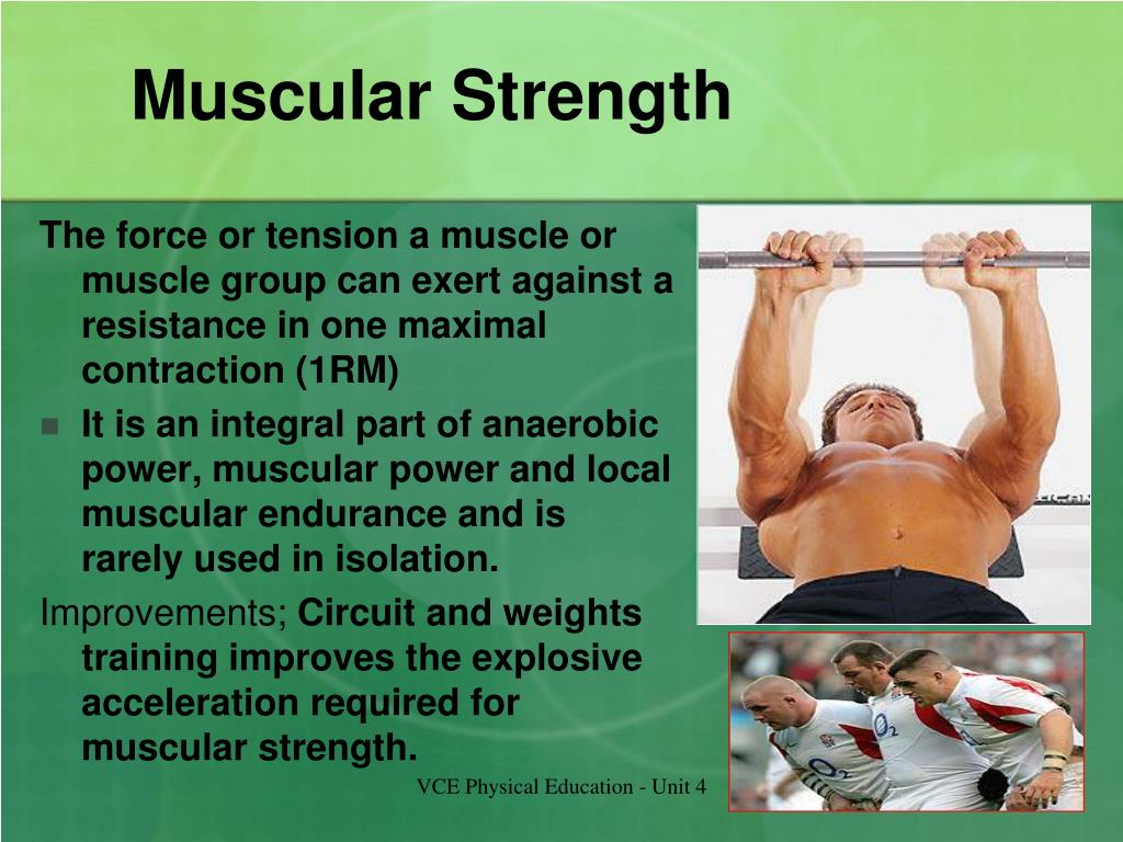 assignment 02.04 muscular strength video