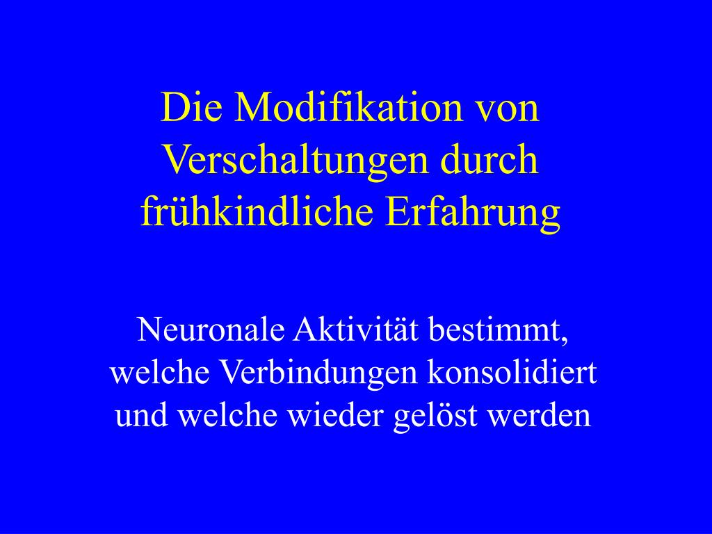 PPT - Die MoDifikation Von Verschaltungen Durch Fr HkinDliche Erfahrung L