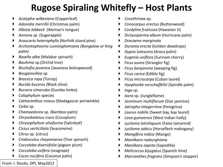 rugose spiraling whitefly host plants n.