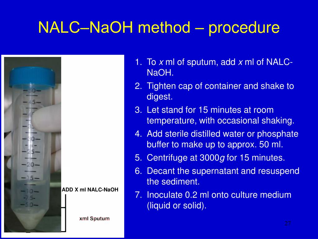nalc article 3 nalc article 3