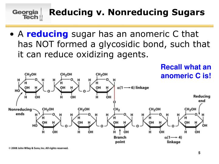 non reducing anomeric carbon non reducing anomeric carbon