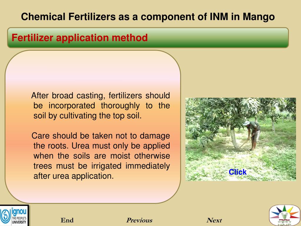 Granular Bio-Organic NPK 3 and NPK 4 Fertilizer – Red Sun - Artemisthai.com
