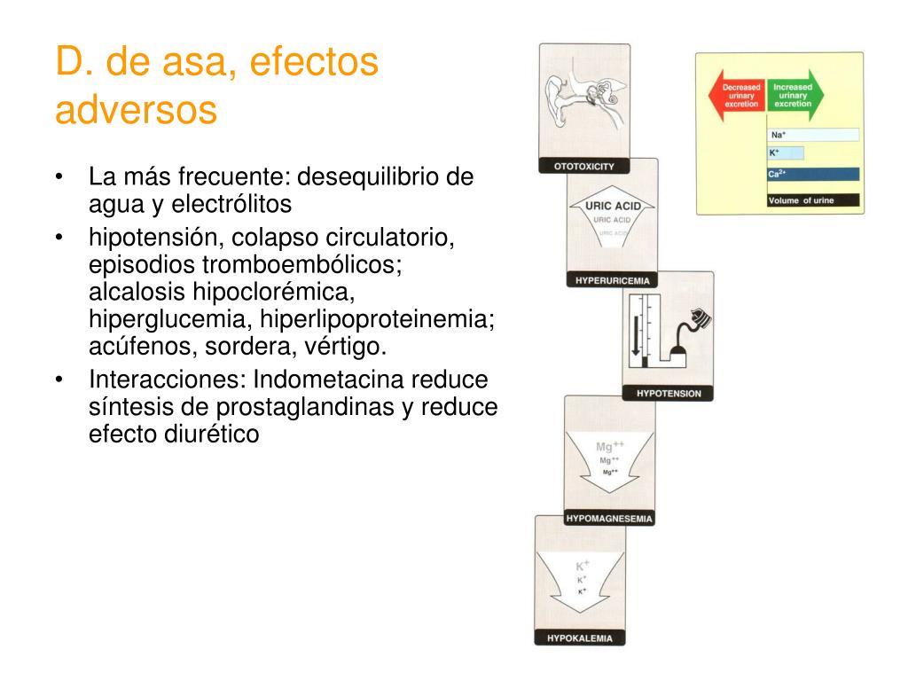 Ivermectin for dogs