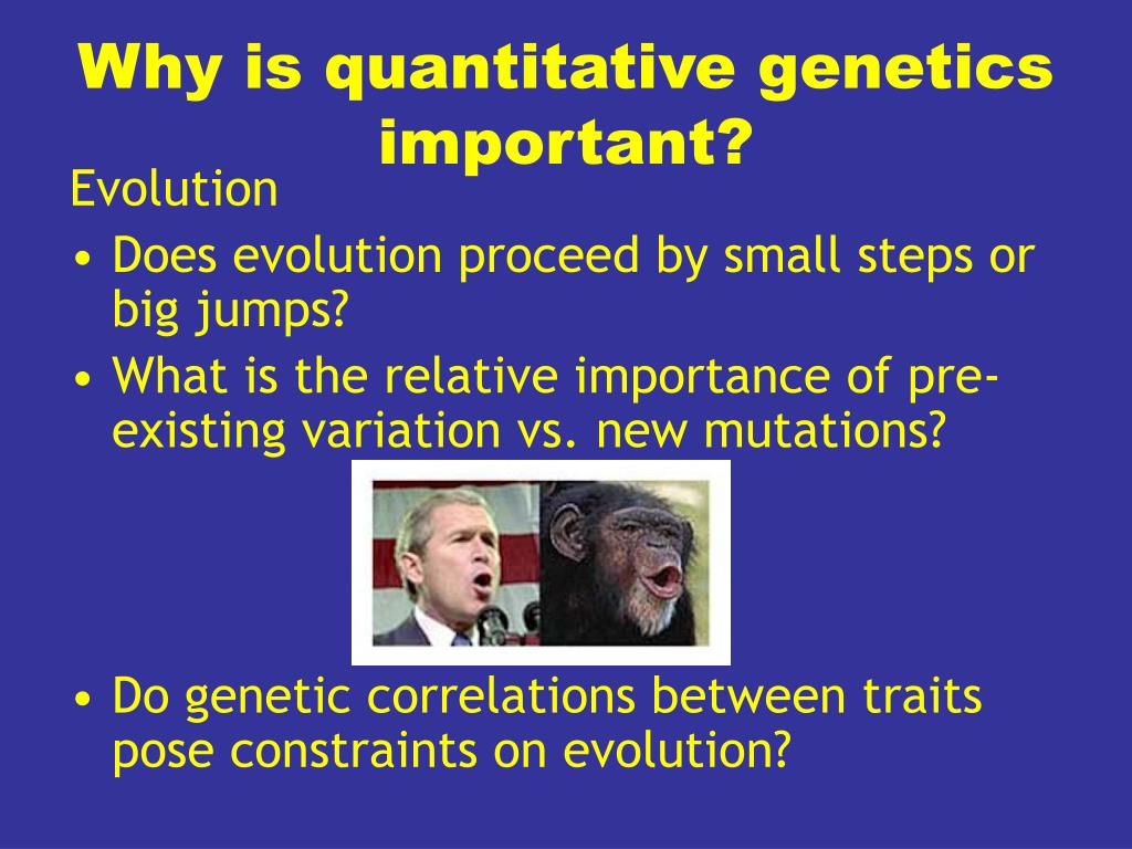 quantitative genetics hypothesis