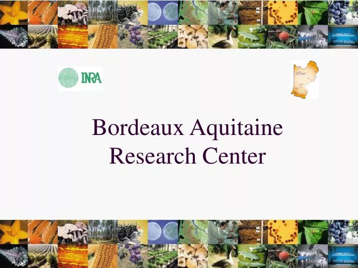 bordeaux aquitaine research center n.