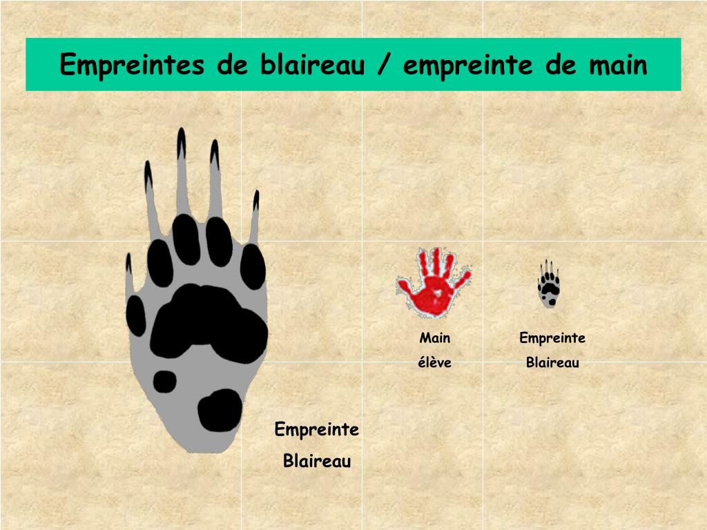 PPT De l’Indice PowerPoint Presentation, free download ID859010 — free download