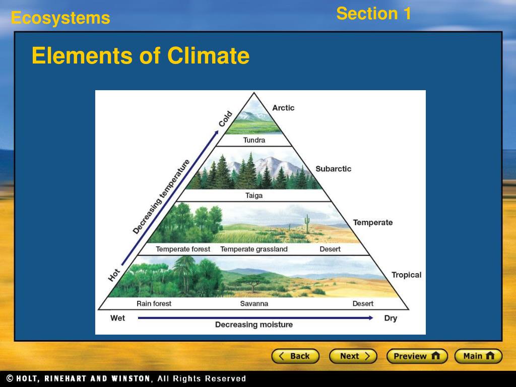 PPT - Section 1: What Is an Ecosystem? PowerPoint Presentation, free ...