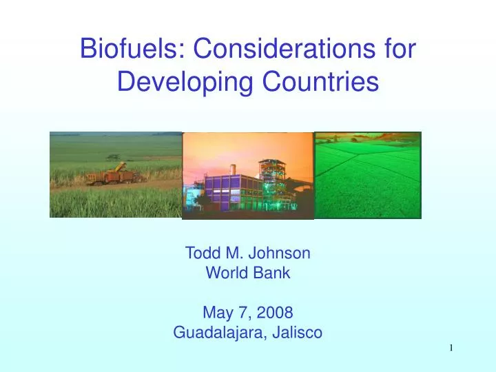 biofuels considerations for developing countries n.