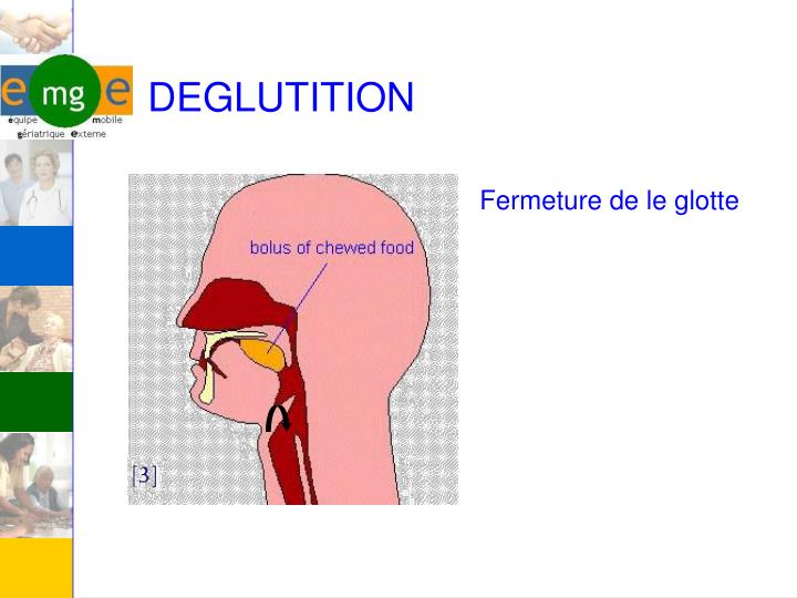 PPT - TROUBLES DE LA DEGLUTITION PowerPoint Presentation - ID:860257