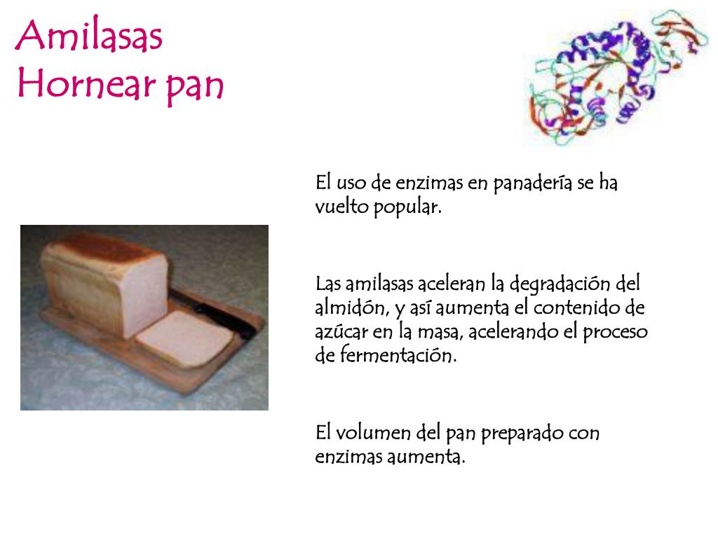 Ppt Enzimas Y Proteínas De Interés Industrial Powerpoint Presentation Id860768 8280