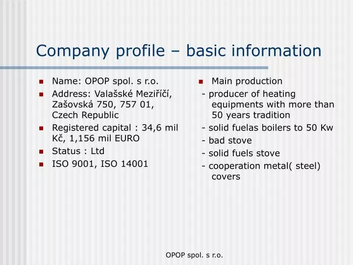 company profile basic information n.