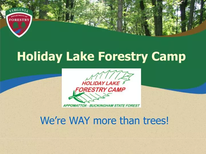 holiday lake forestry camp n.