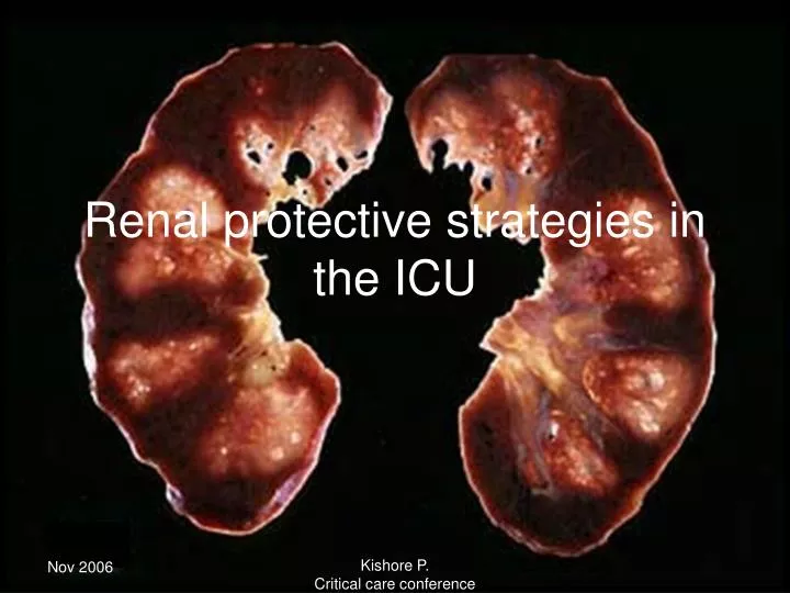 renal protective strategies in the icu n.