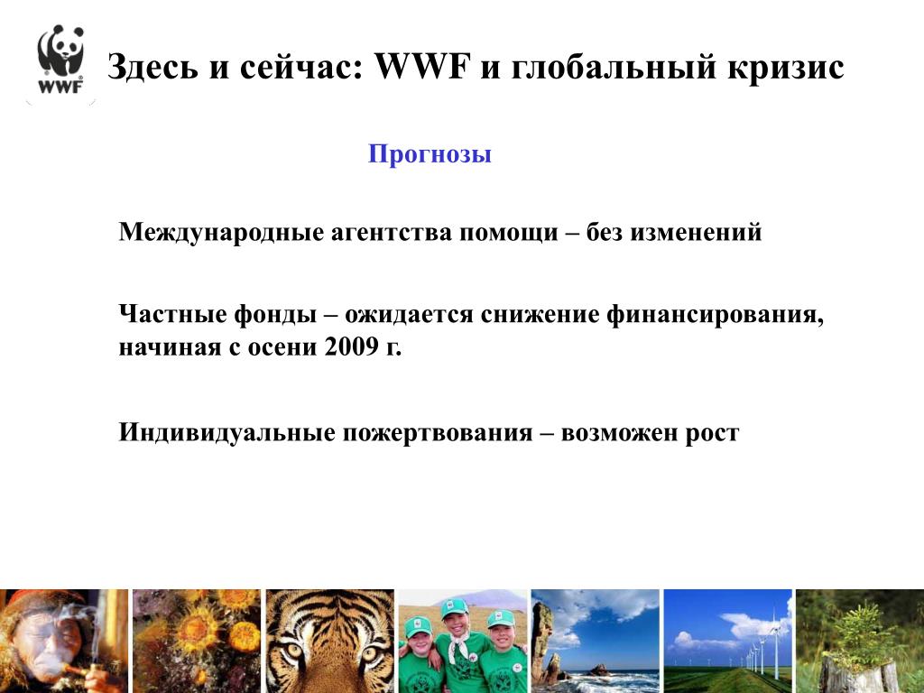 Изменения частного. Глобальные и частные изменения МДО. Частные изменения.