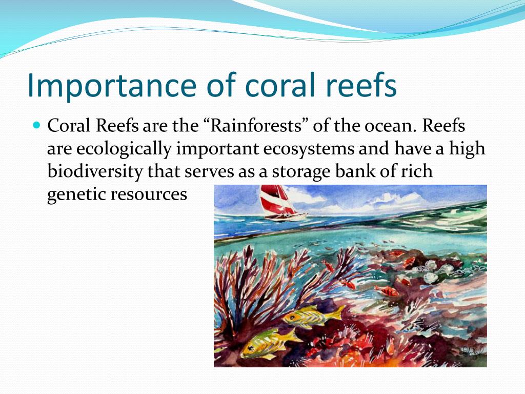 PPT - Marine Biomes PowerPoint Presentation, free download - ID:867847