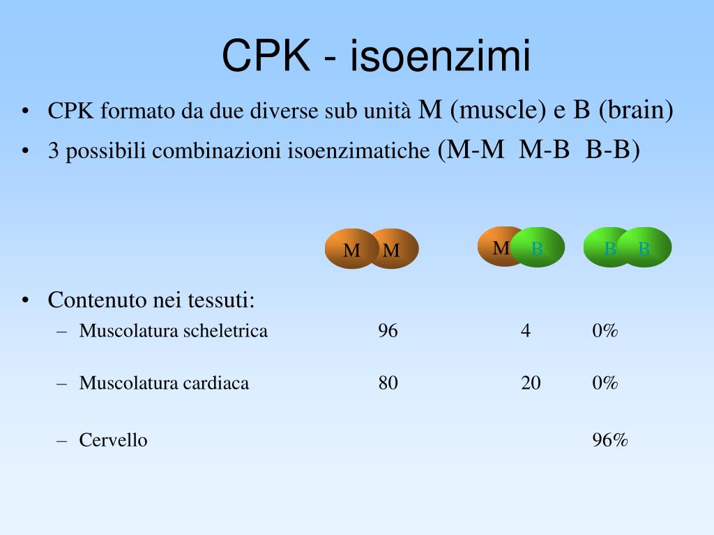 Isoenzimi Ldh 1 2 3 4 5 PPT - Enzimi in Biochimica Clinica PowerPoint Presentation, free
