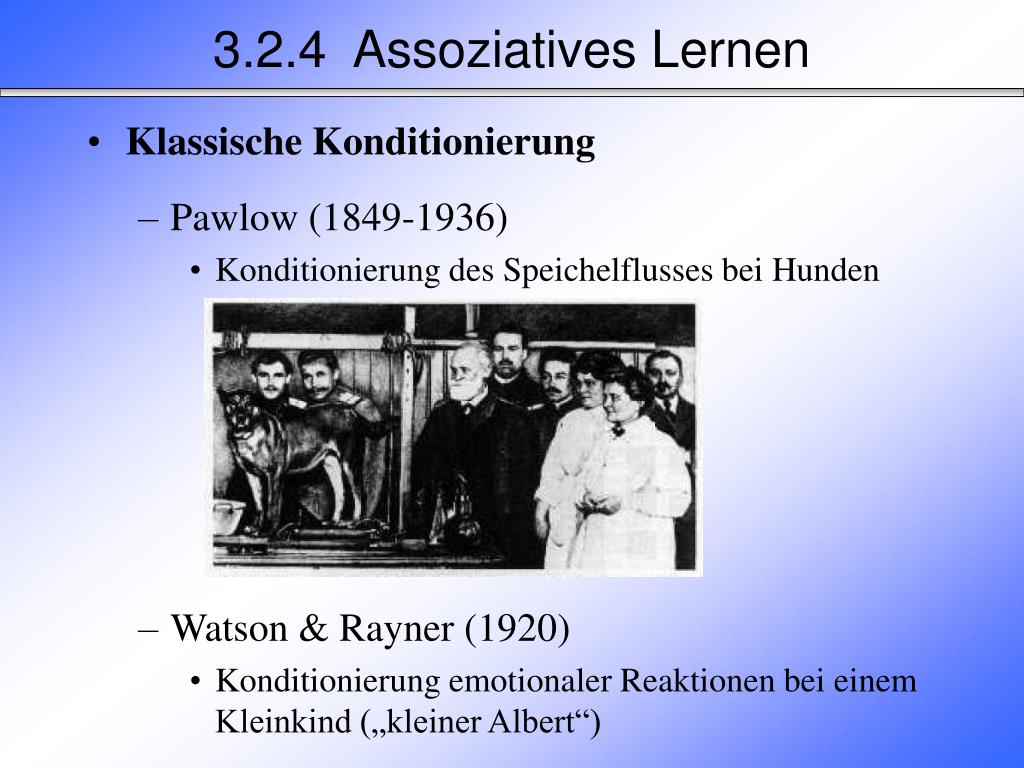 PPT - Klassische Konditionierung Pawlow (1849-1936) Konditionierung des  Speichelflusses bei Hunden PowerPoint Presentation - ID:868681