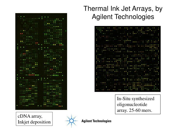Ppt Dna Chips And Their Analysis Comp Genomics Lecture