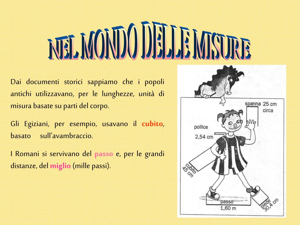 Misura top piede avambraccio
