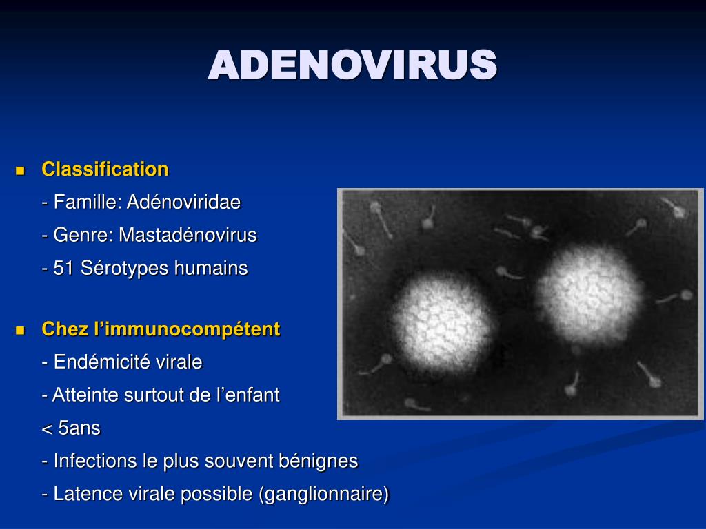 Ppt Infections Virales Chez Limmunodeprime Complications Post