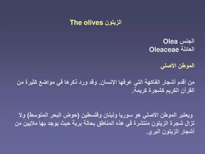 Ppt الزيتون The Olives Powerpoint Presentation Free Download