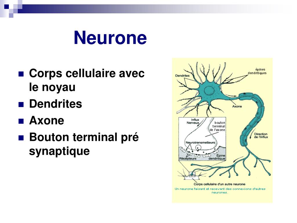 PPT Dessins PowerPoint Presentation Free Download ID 872106