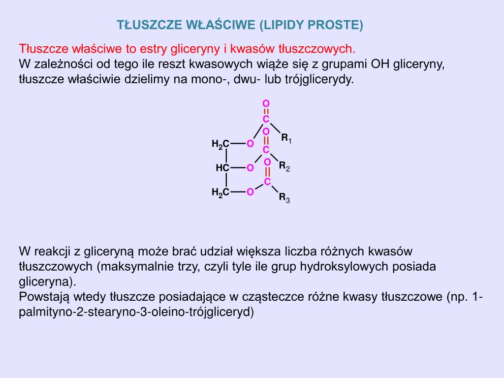 Utwardzanie Tłuszczów Roślinnych Stosuje Się Do Otrzymywania PPT - Materiały pochodzą z Platformy Edukacyjnej Portalu www