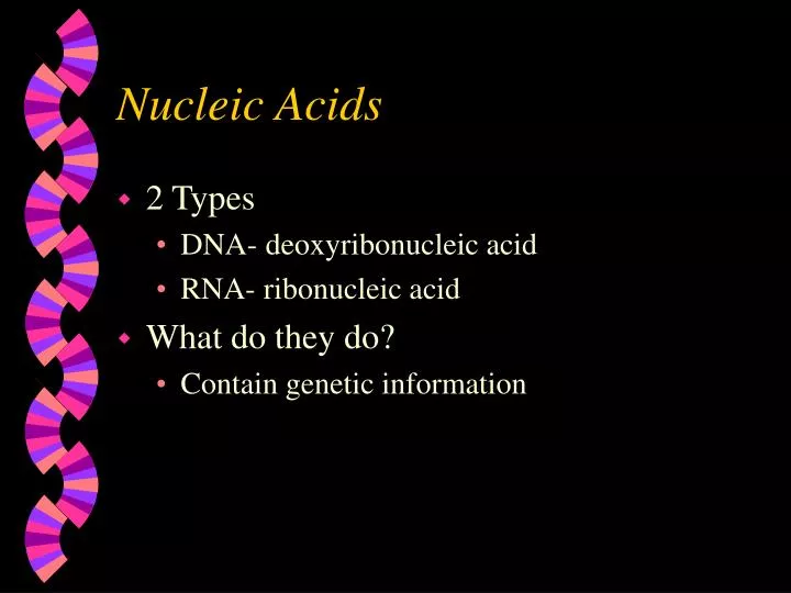 nucleic acids n.