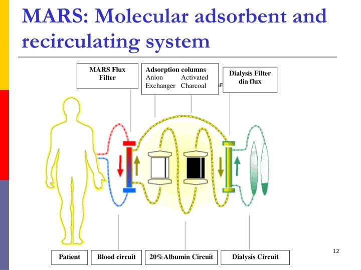 PPT - RRT in hepatic failure PowerPoint Presentation - ID:875390